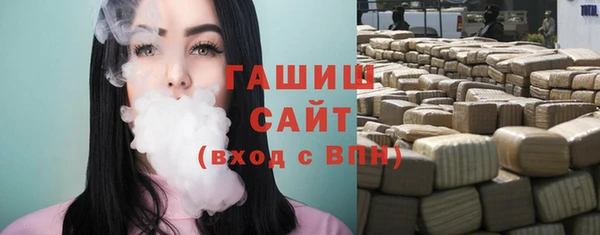 ECSTASY Бородино