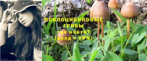 ALPHA-PVP Мегион
