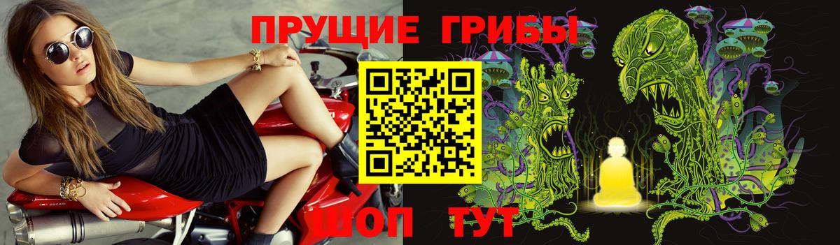 Псилоцибиновые грибы Magic Shrooms  Вход с VPN  Мичуринск 
