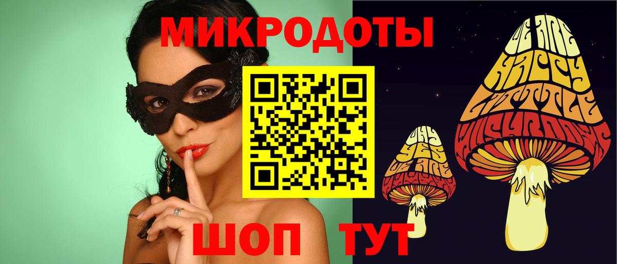 Псилоцибиновые грибы Psilocybine cubensis Мичуринск