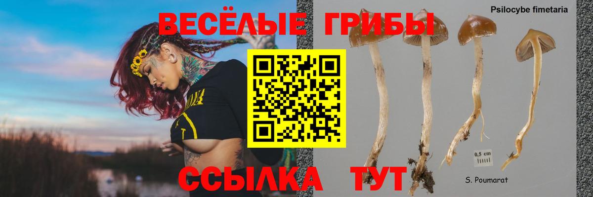 Псилоцибиновые грибы мухоморы Мичуринск